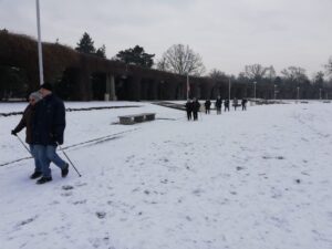 grupa osób spaceruje z kijkami po śniegu - zajęcia taneczno-ruchowe w Klubie Seniora