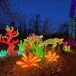 iluminacje świetlne w ZOO Wrocław