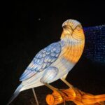 iluminacje świetlne w ZOO Wrocław