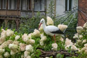 Członkowie koła Jelenia Góra podczas realizacji projektu niewidomy turysta