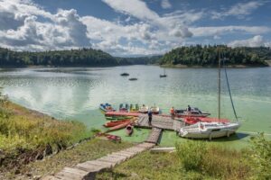 Członkowie koła Jelenia Góra na pikniku w Plichowicach