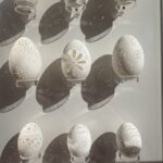 Członkowie koła Jelenia Góra podczas wizyty we Wrocławiu w muzeum etnograficznym